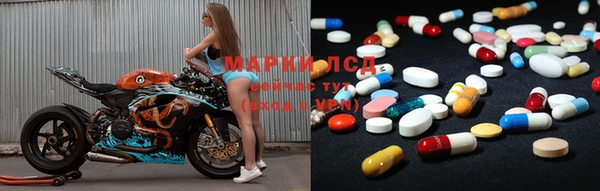 индика Аркадак