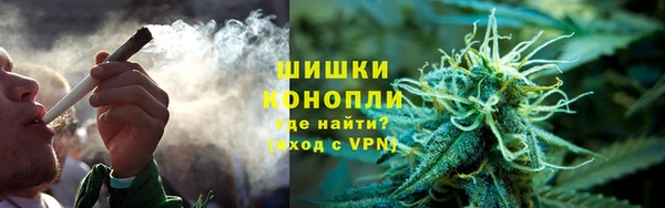 индика Аркадак