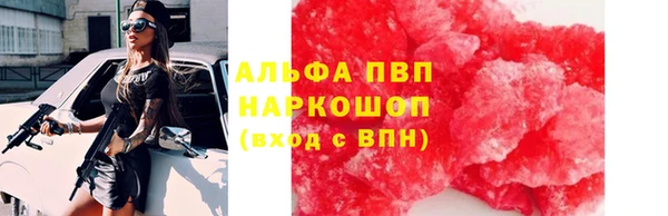индика Аркадак