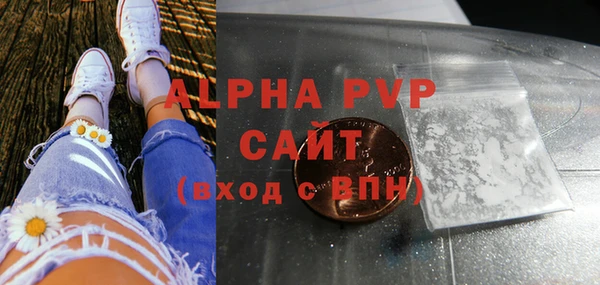индика Аркадак