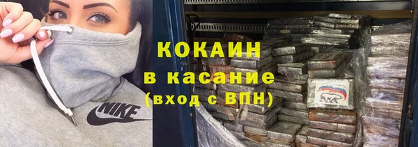 индика Аркадак
