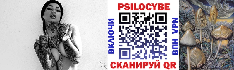 Галлюциногенные грибы Psilocybe  Щигры 